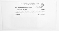 Microdiplodia ruthenica image